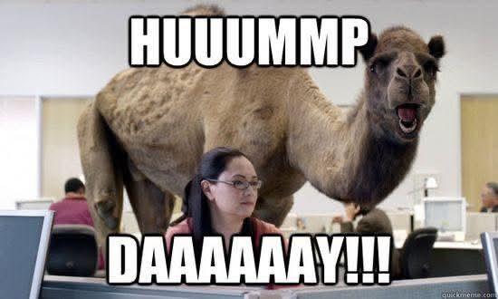 Hump Day House Party