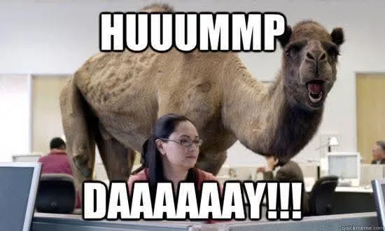 Hump Day House Party