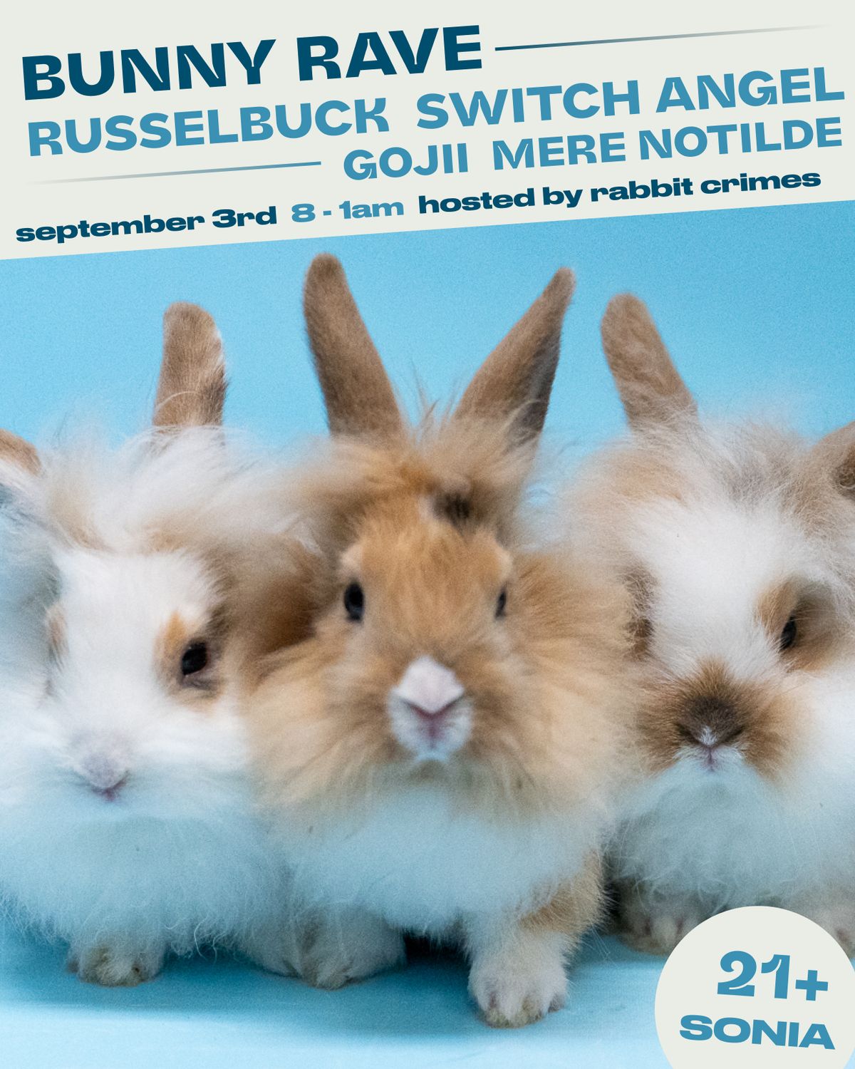 BUNNY RAVE - RUSSELBUCK, Switch Angel, GOJII & Mere Notilde
