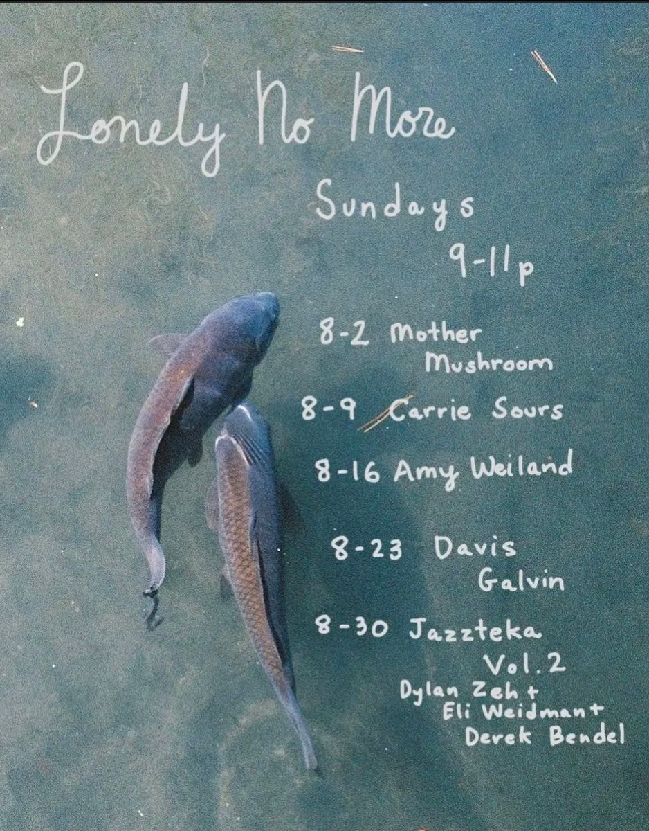 Lonely No More: Davis Galvin