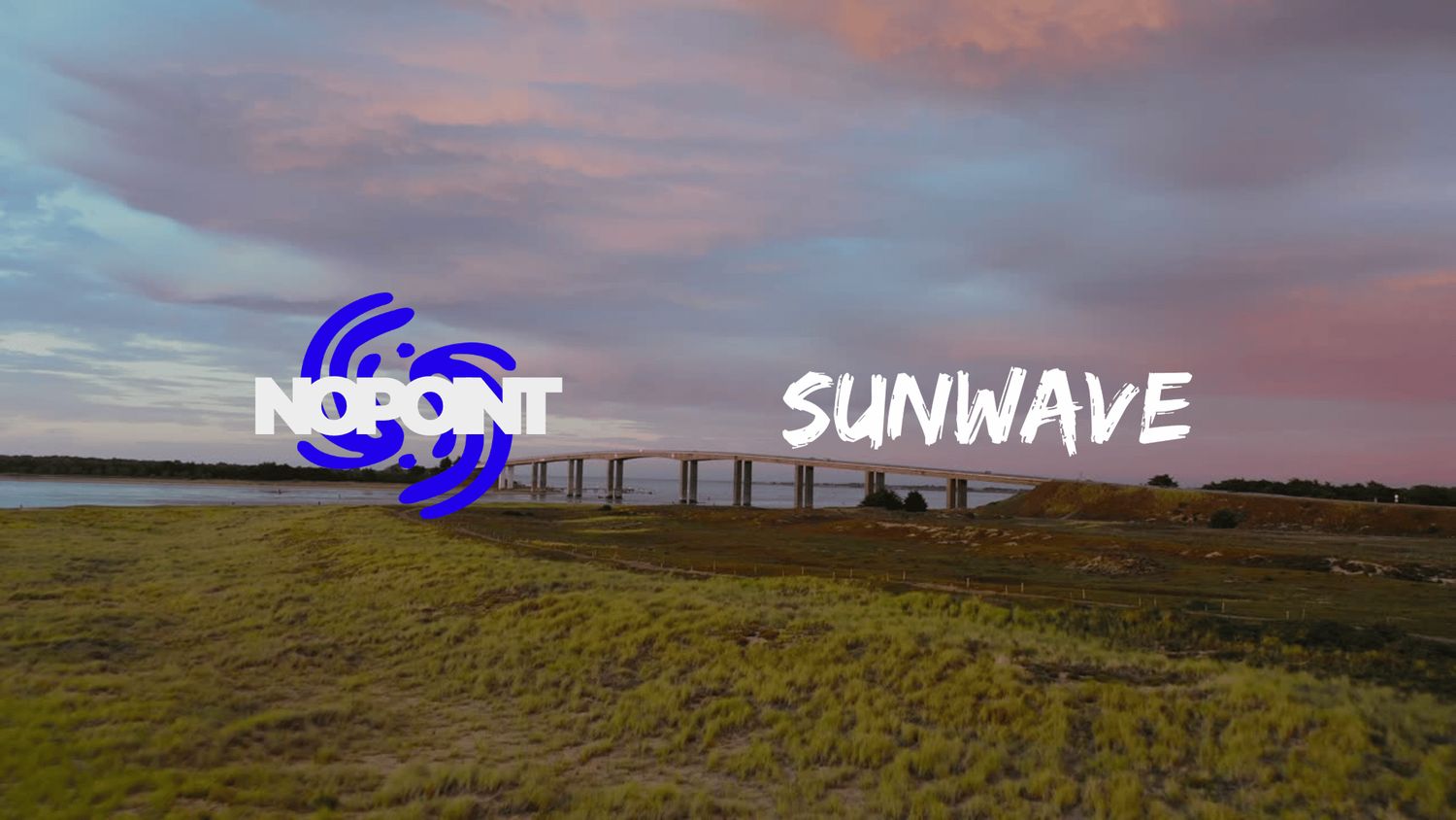 No Point Music x Sunwave: In The Park