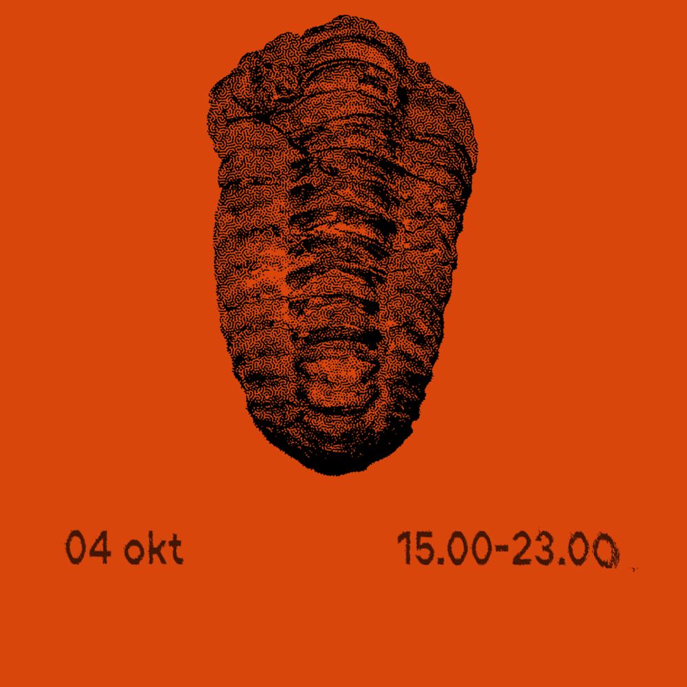 hito draait om