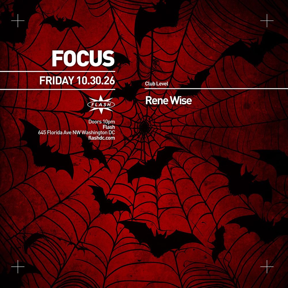FOCUS: Rene Wise