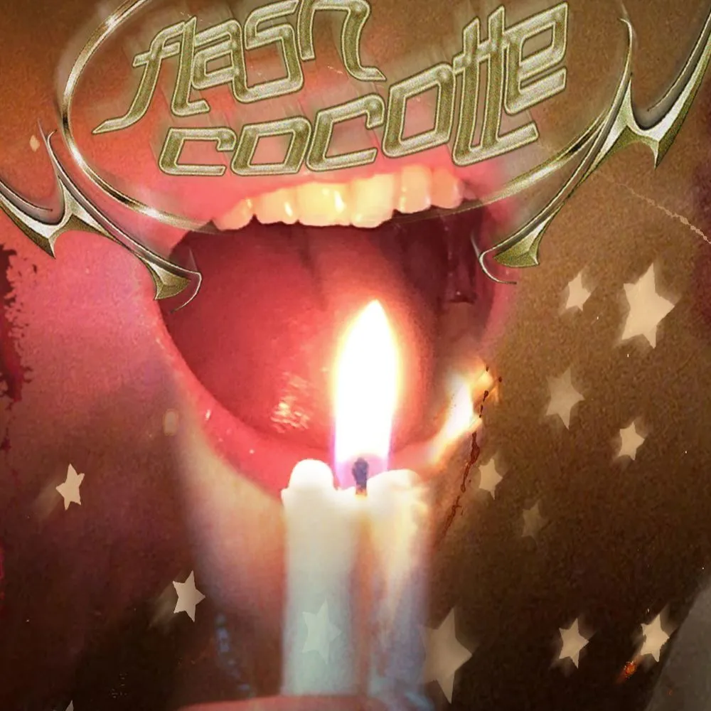 Flash Cocotte