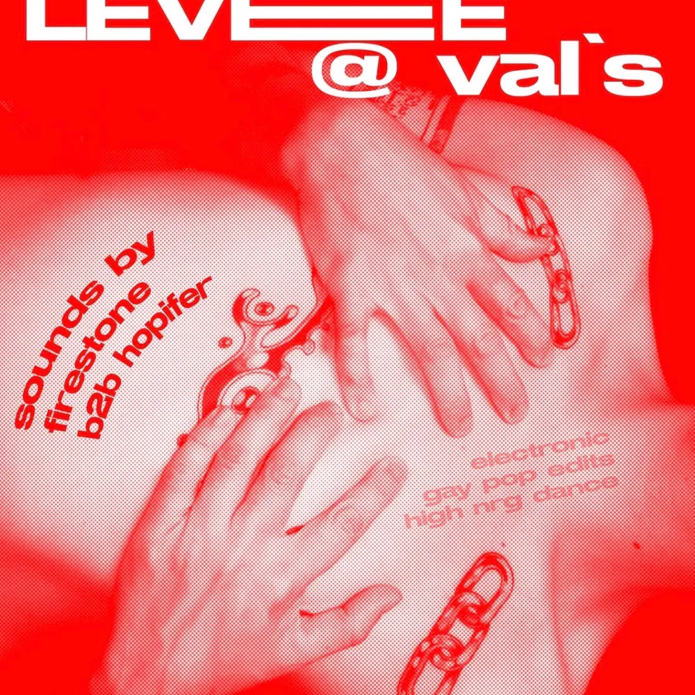 Levee