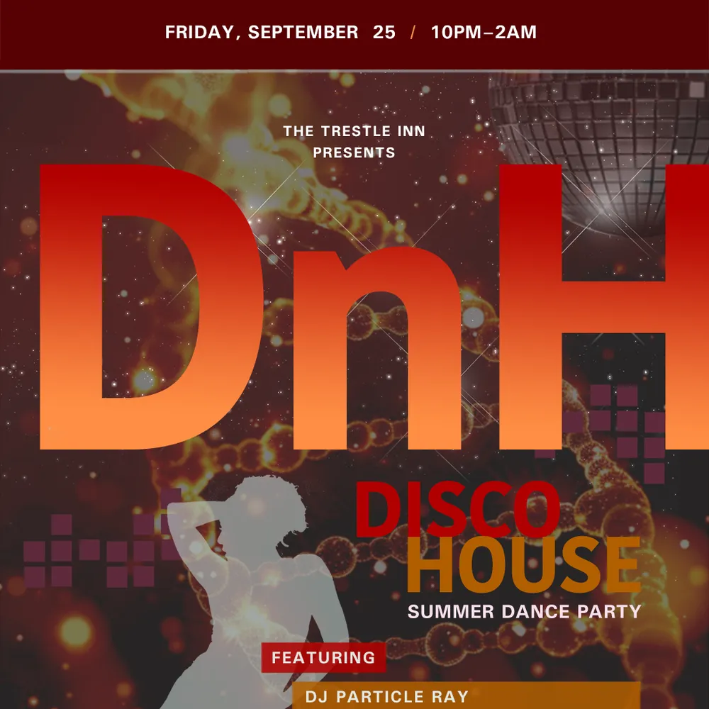 DnH - A Disco House Summer Dance Party