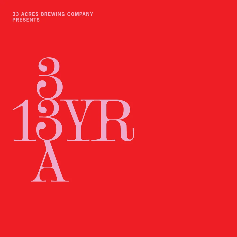 13YR 33A Alley Party