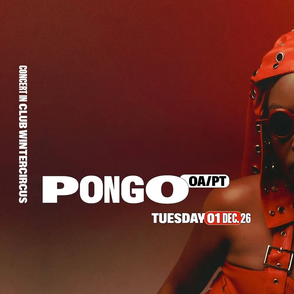Pongo
