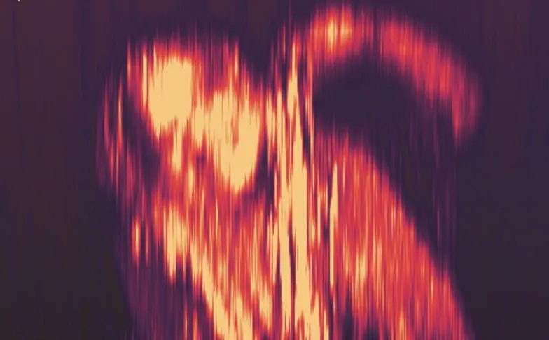 TUNE. Florian Hecker presents „Natural Selection“ live