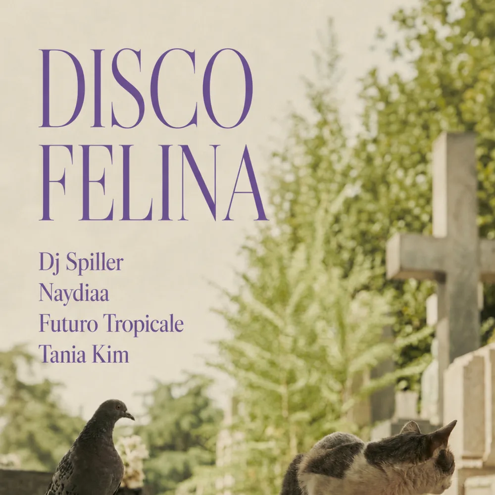 DISCO FELINA: Dj Spiller, Futuro Tropicale, Naydiaa, Tania Kim
