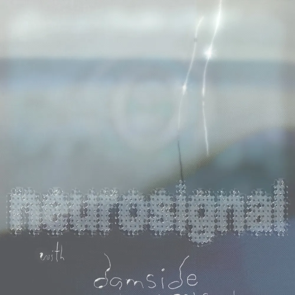 neurosignal: damside, noodle + Telfort