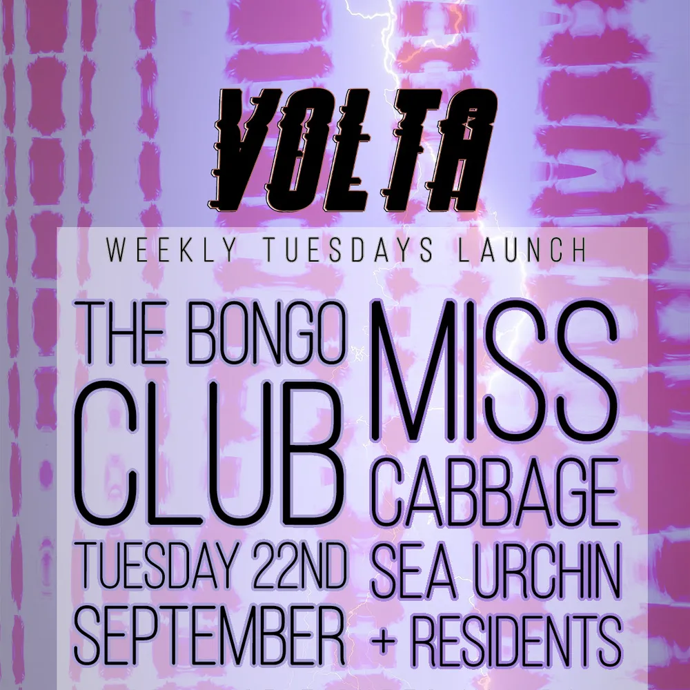 Volta Launch Night with Miss Cabbage, Sea Urchin + residents [LIMITED FREE TICKETS]