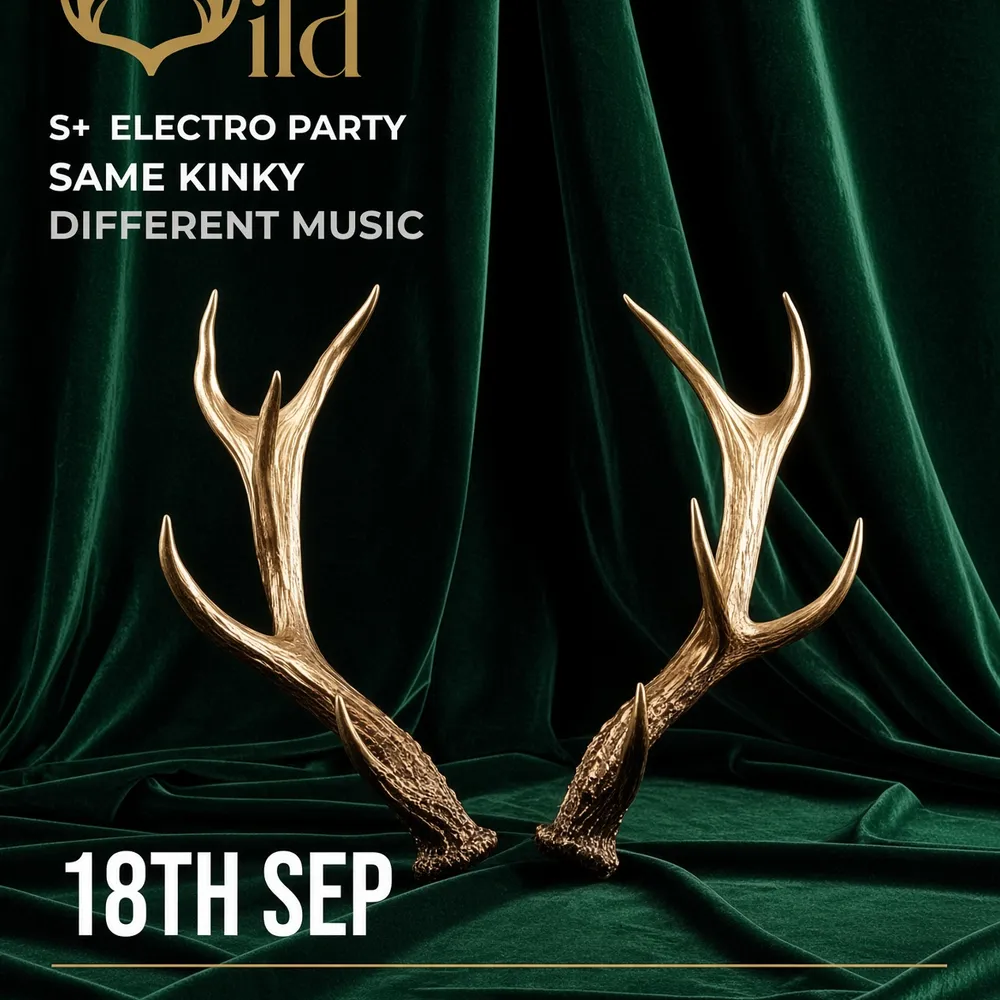 Wild - Electro kinky party