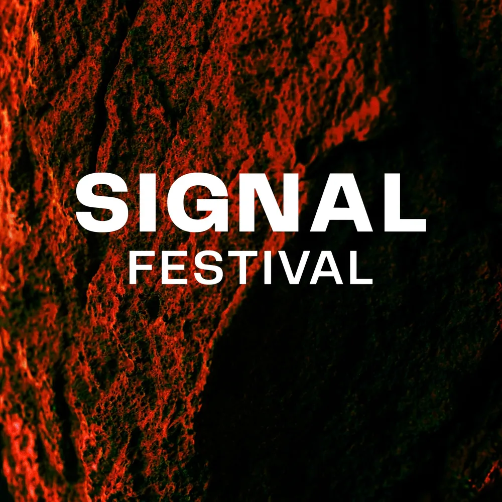 VLCT x SIGNAL