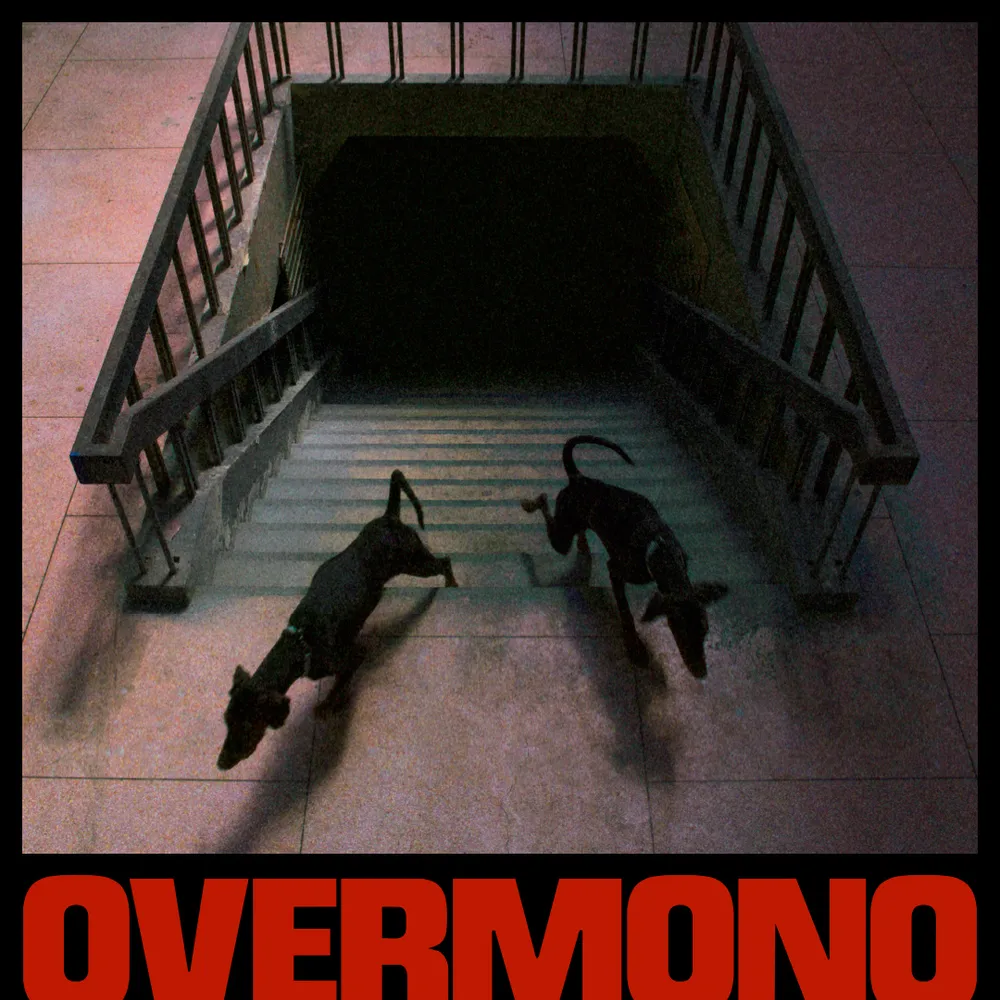 Overmono