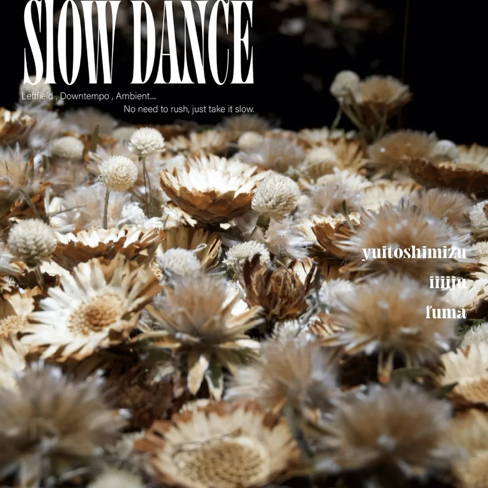 SLOW DANCE ver.05