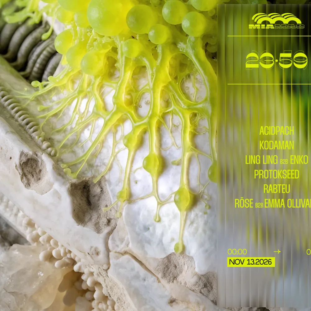 23:59: Protokseed, LING LING B2B ENKO, ACIDPACH & MORE