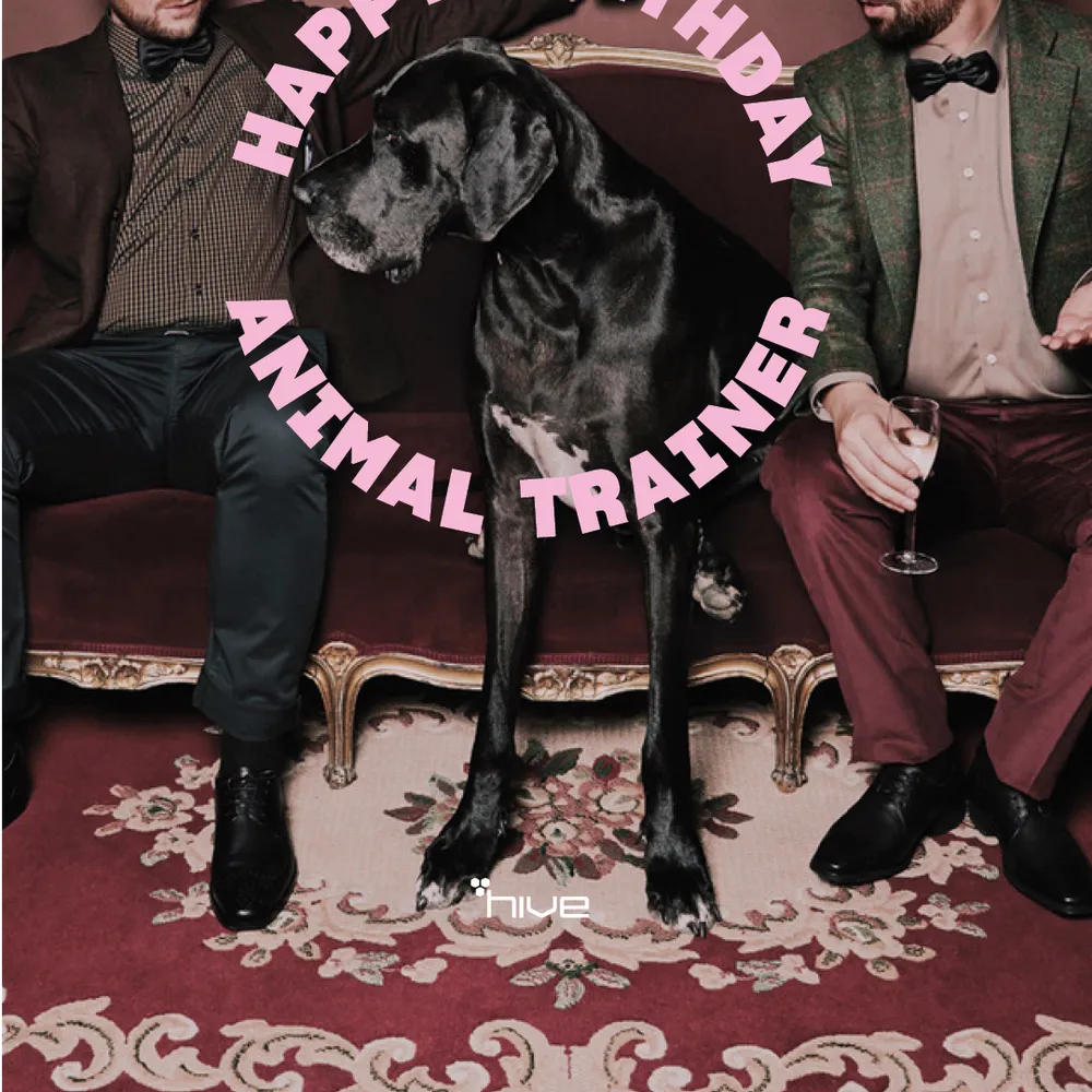 20 Jahre Animal Trainer