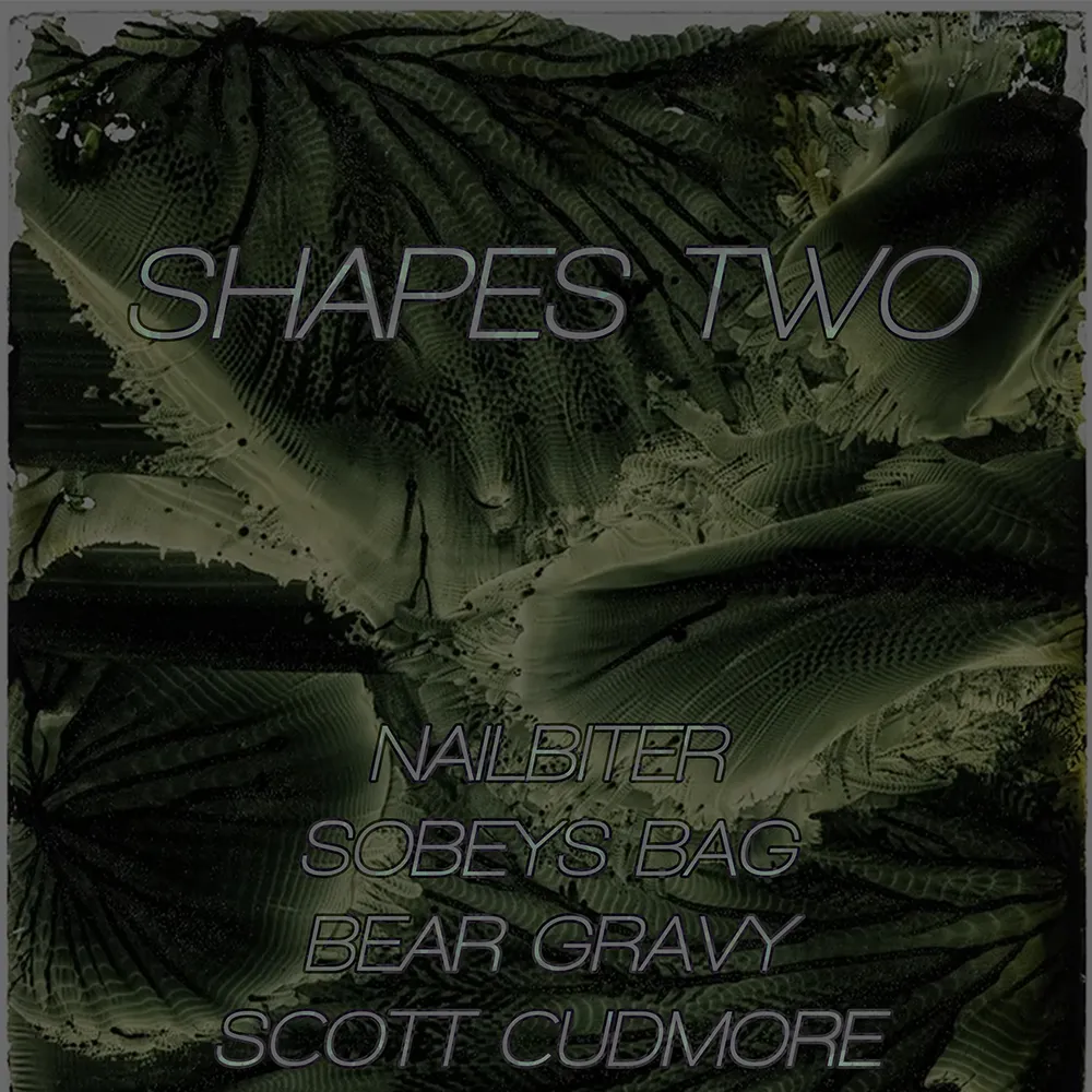 Shapes TWO