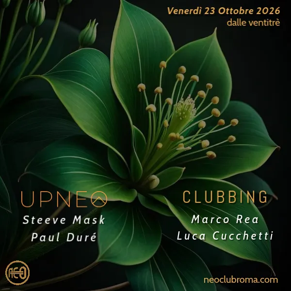 UPNEO - OUR FRIDAY