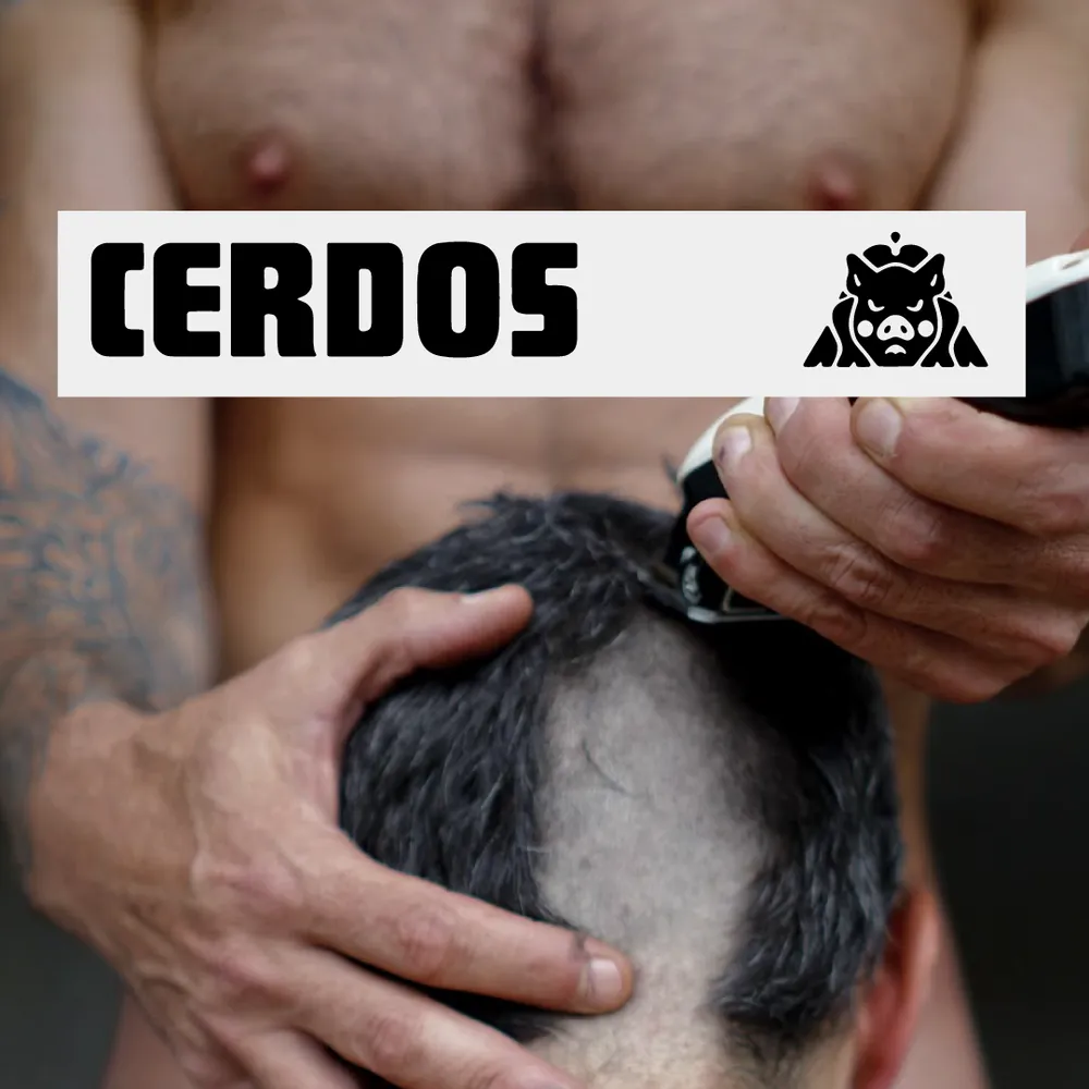 CERDOS: PELONES Y RAPADOS