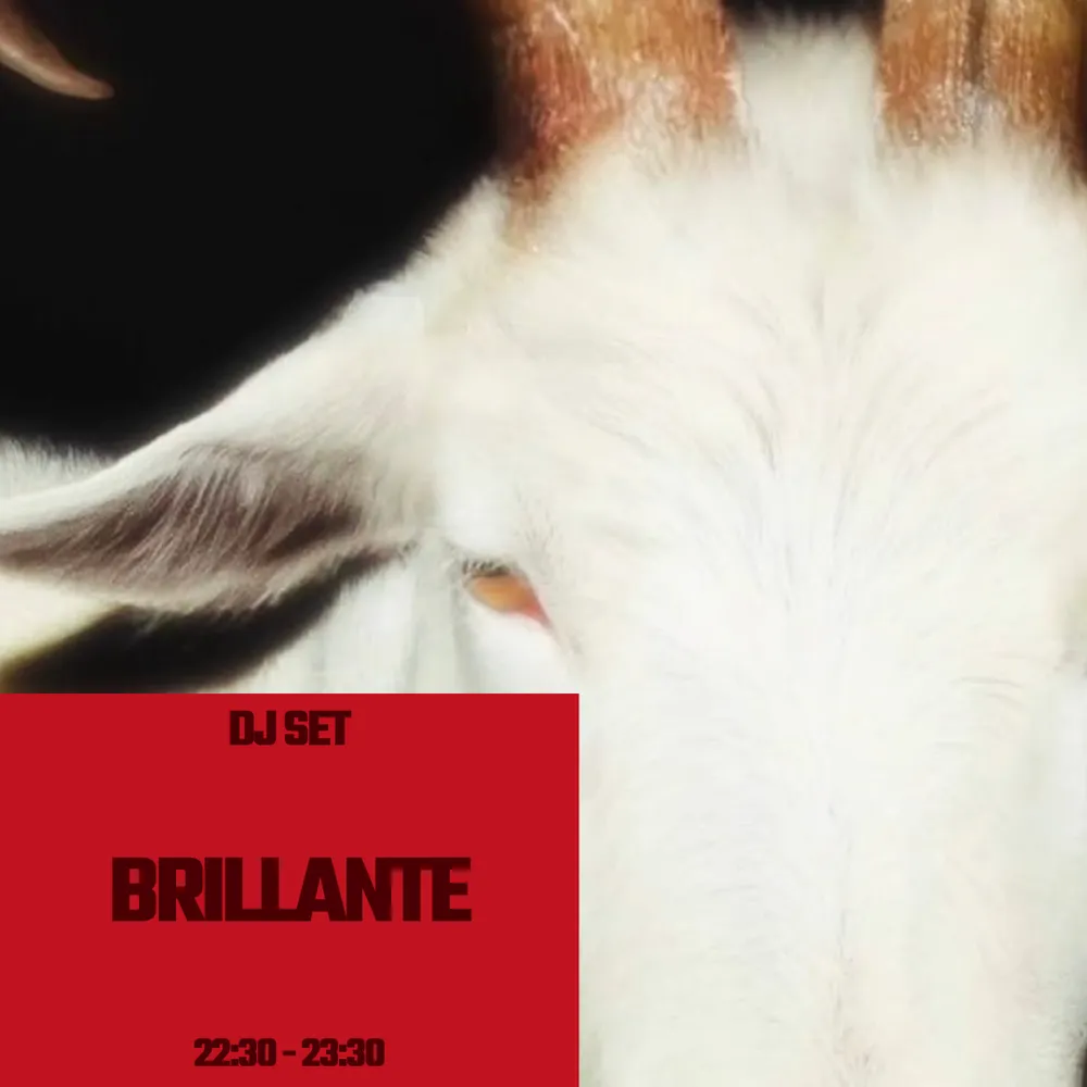 BARDO - Brillante