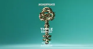Sunlight Social W/ Tmple