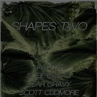 Shapes TWO
