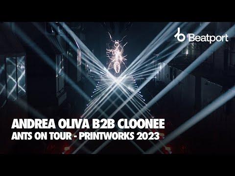 B2B - ANTS