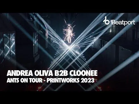 B2B - ANTS