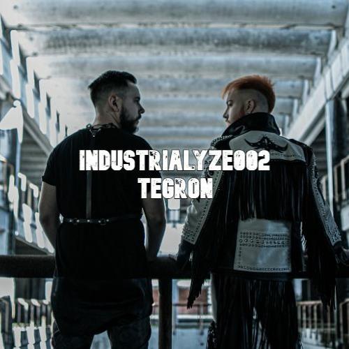 Industrialyze002 | Tegron