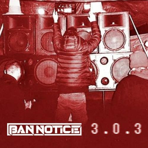3.0.3