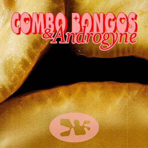 Combo Bongos & Androgyne • 1 March