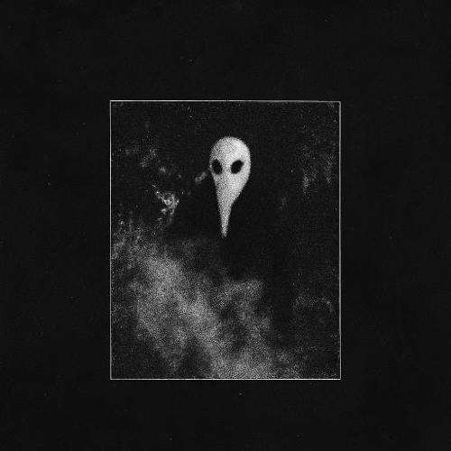 Fog Of War - Kinetix X Lxst