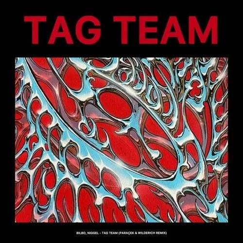 B.Bilbo, Master Niggel - Tag Team (Paraçek & Wilderích Radio Remix)