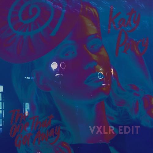 The One That Got Away (Vxlr Edit)
