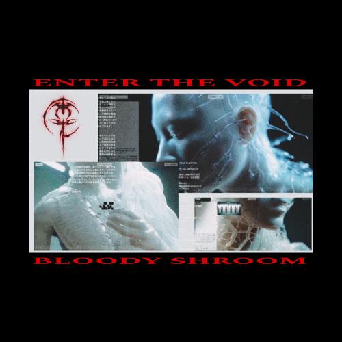 Enter The Void