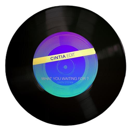 Gwen Stefani - What You Waiting For? (Cintia Edit)