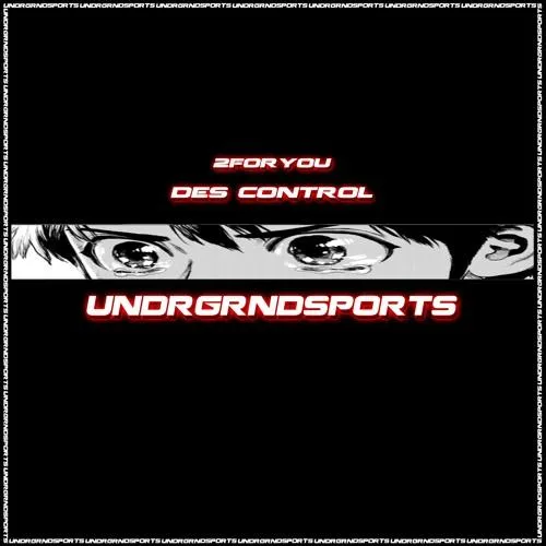 Des Control