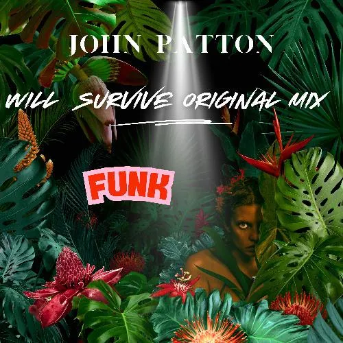 Will Survive (Original Mix)