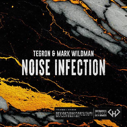Noise Infection