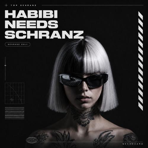 Habibi Needs Schranz