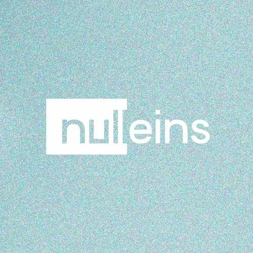 Nulleins Records