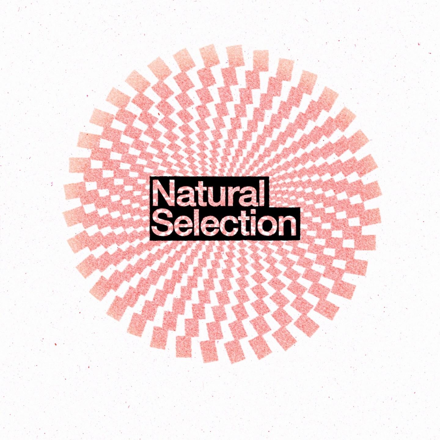 Natural Selection