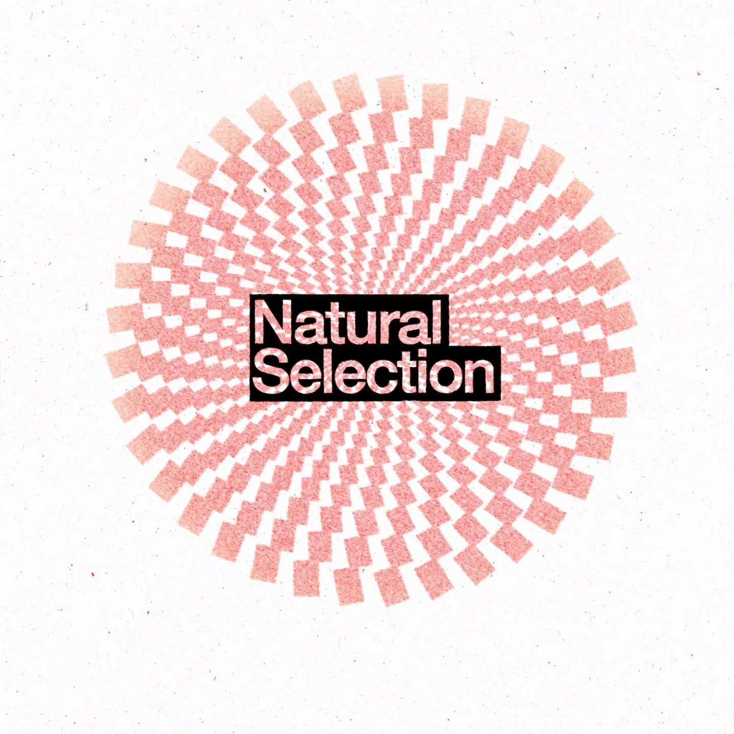 Natural Selection