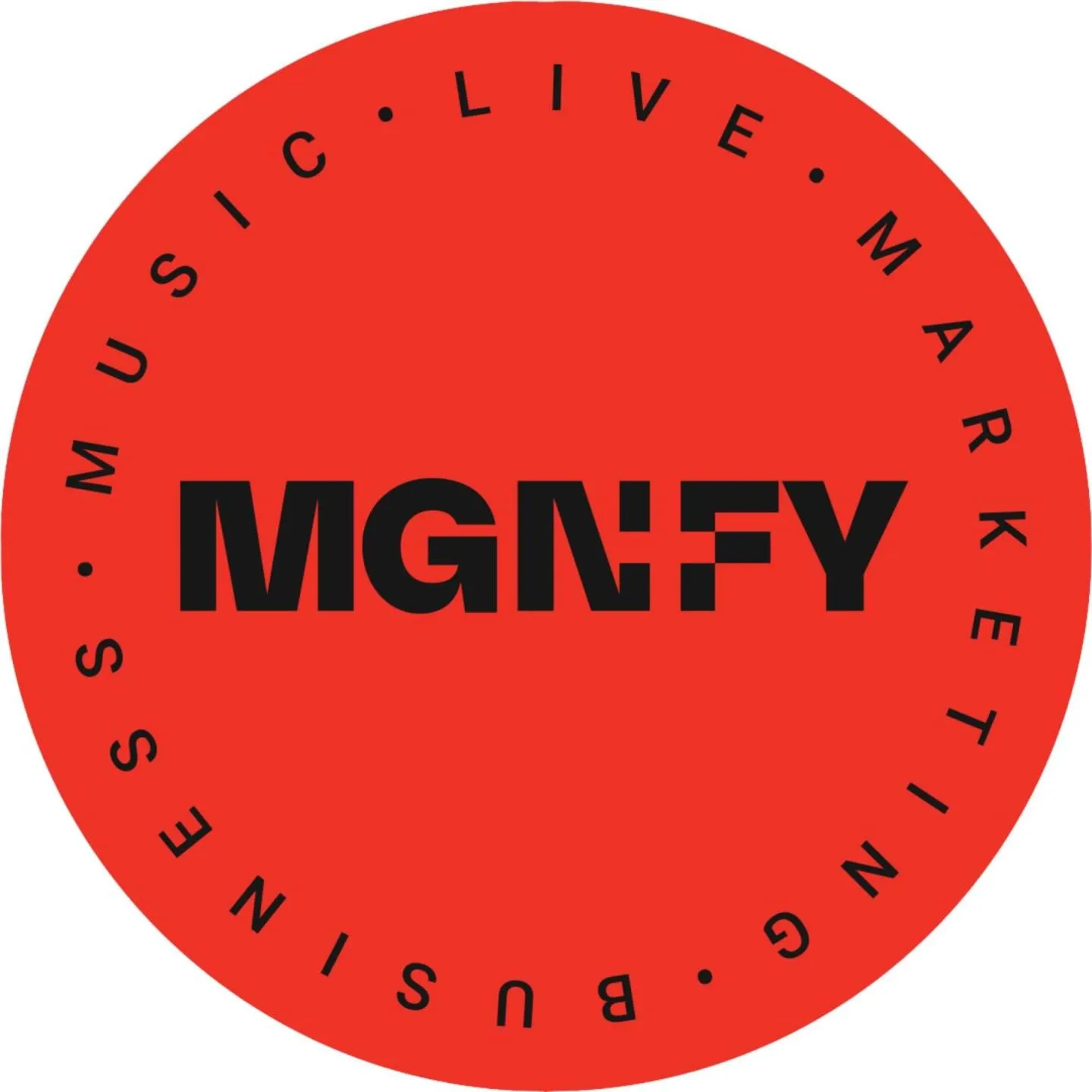 Felix Holzhauser - Mgnfy