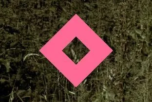 Whole - United Queer Festival