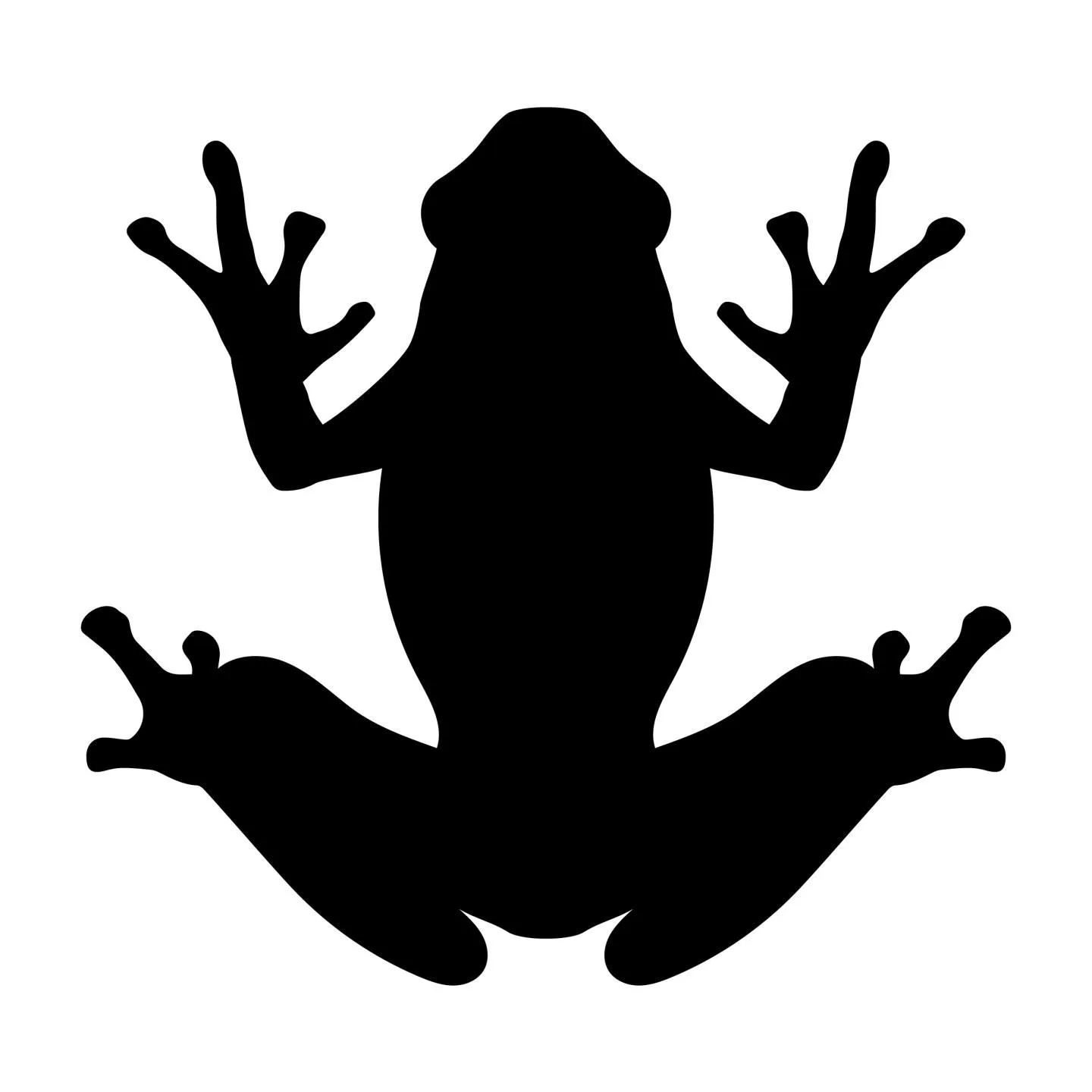 Madfrog