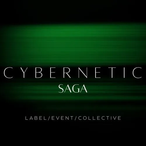 Cybernetic Saga