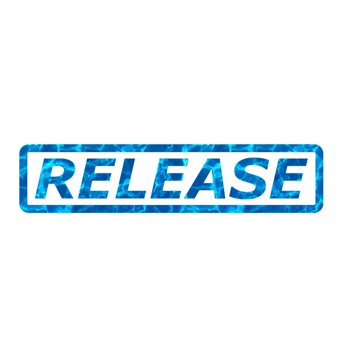 Release Day Party